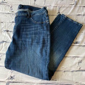Lucky Brand Plus Size Emma Straight Denim Jeans - Size 20W